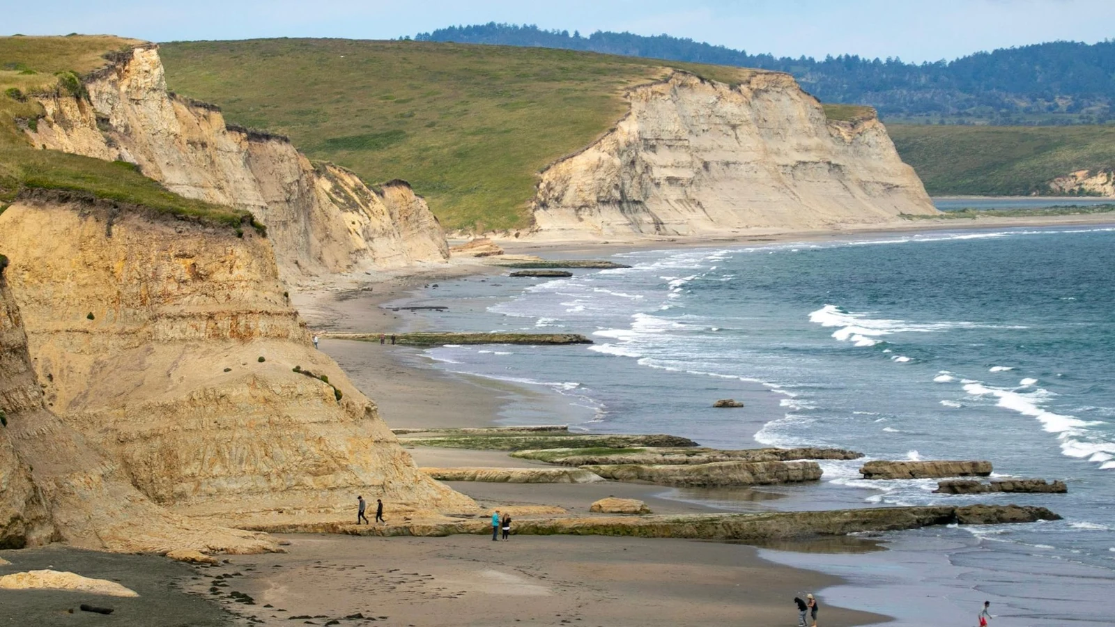Pale sandstone cliffs and Pacific surf along Drakes Beach at Point Reyes